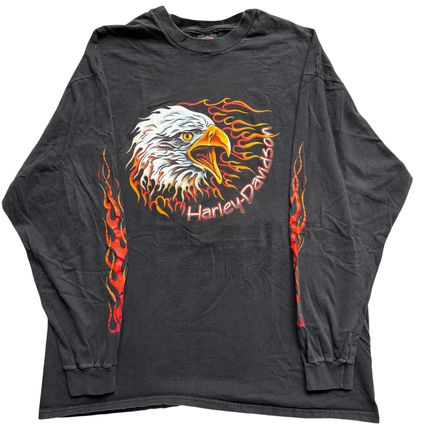 1999 Harley Davidson Flame Eagle