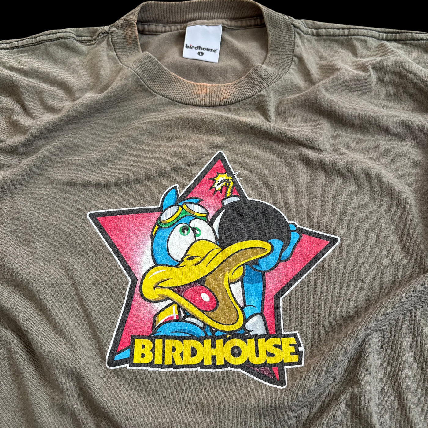 90s Birdhouse Duck