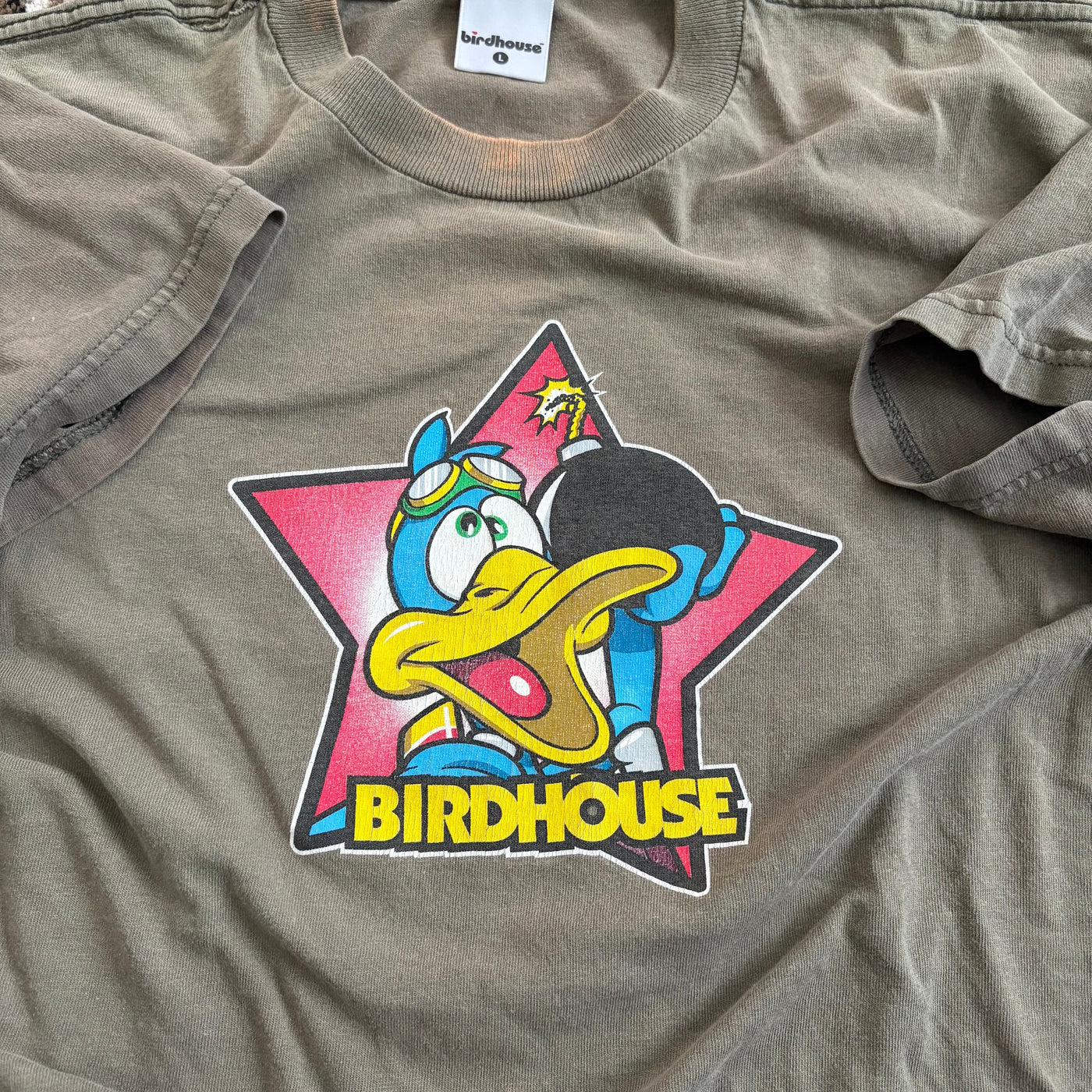 90s Birdhouse Duck