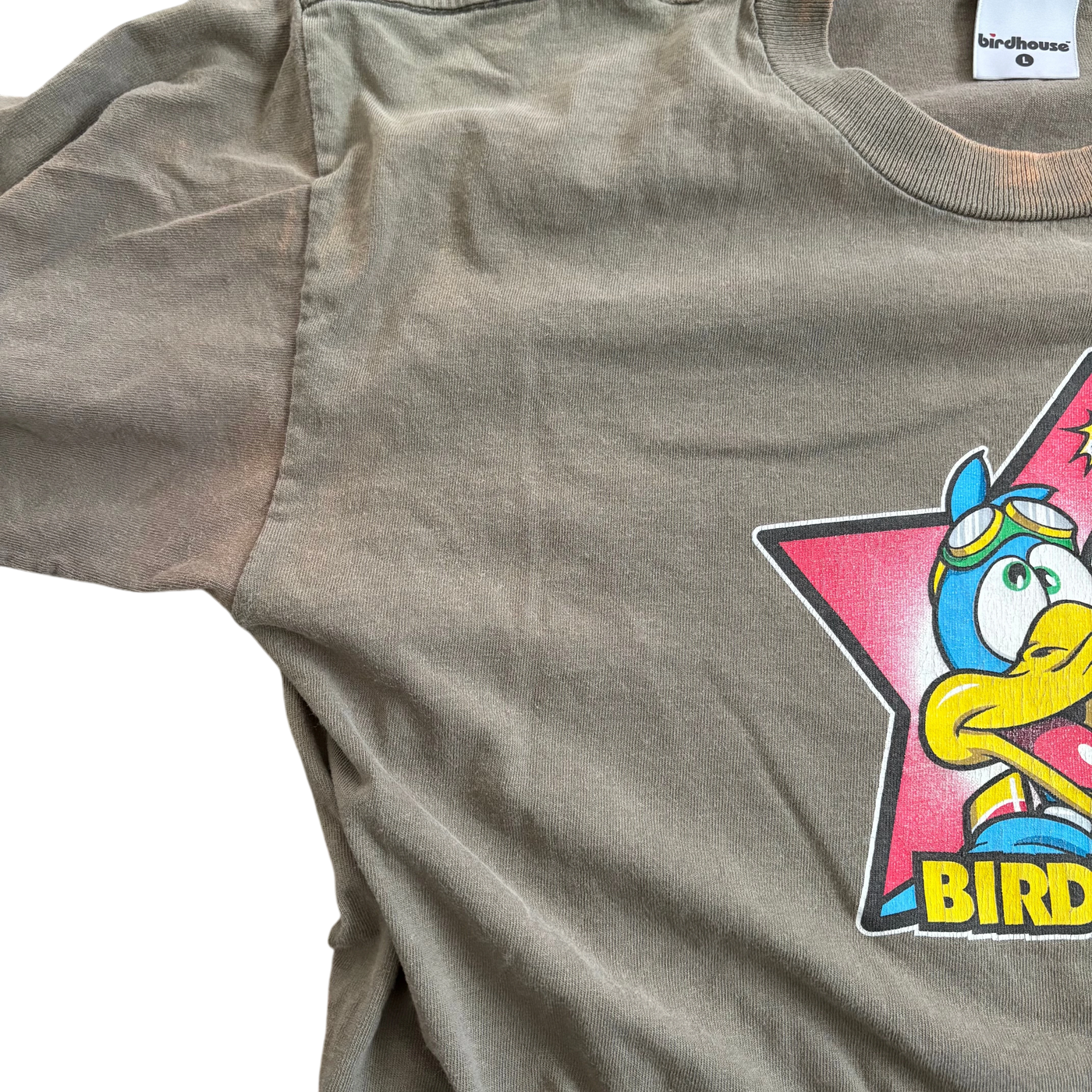 90s Birdhouse Duck