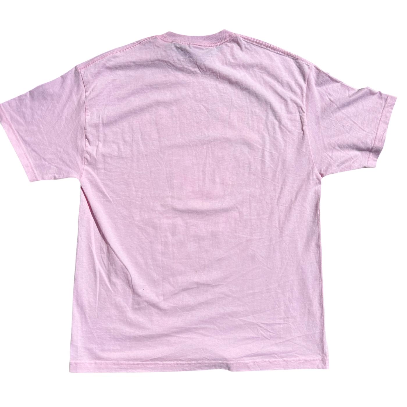2004 The College Dropout Pink Sample