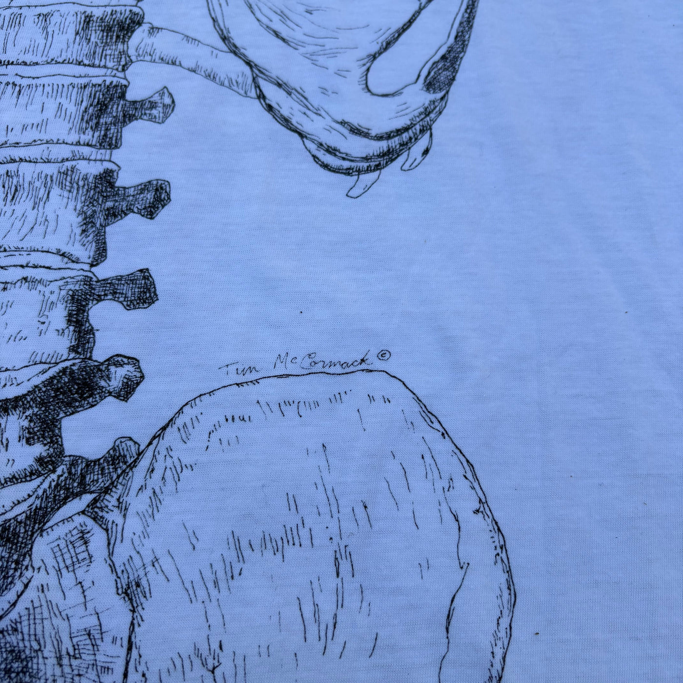 90s Tim McComack Anatomy