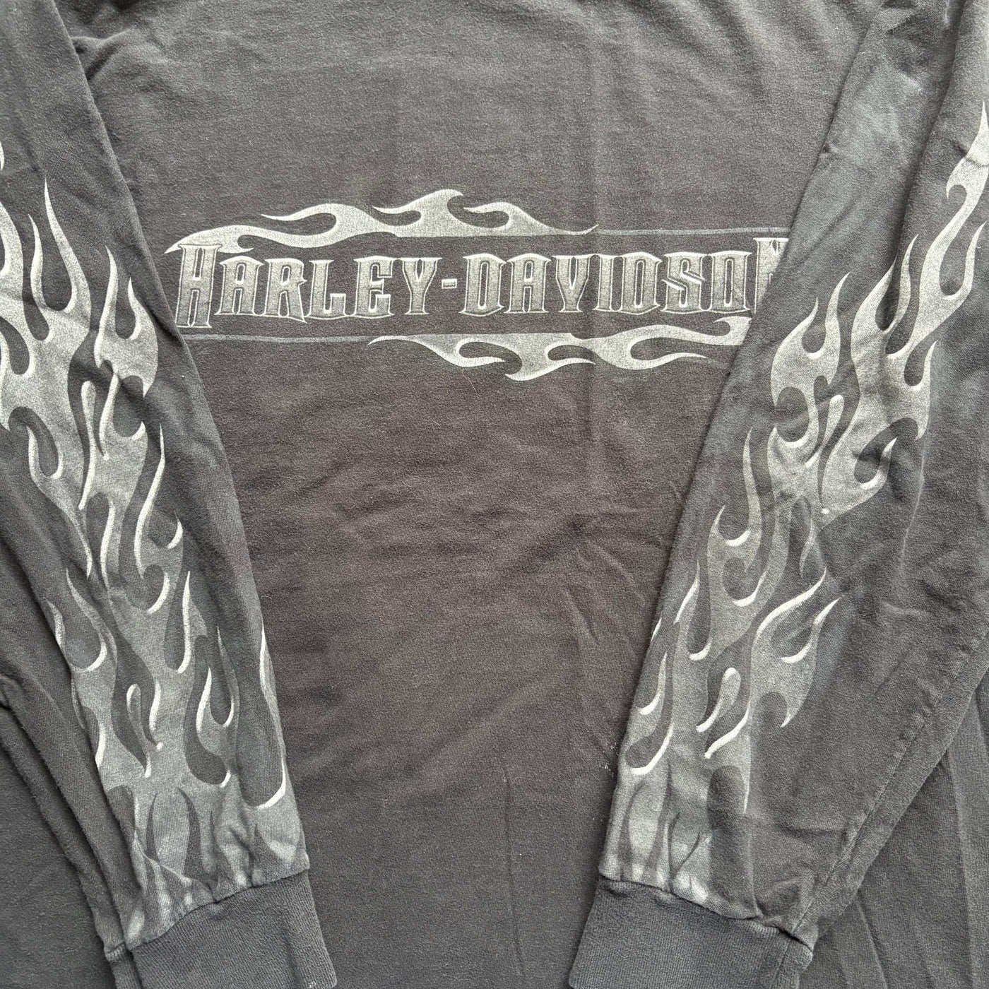 2000s Harley Davidson Gray Flames