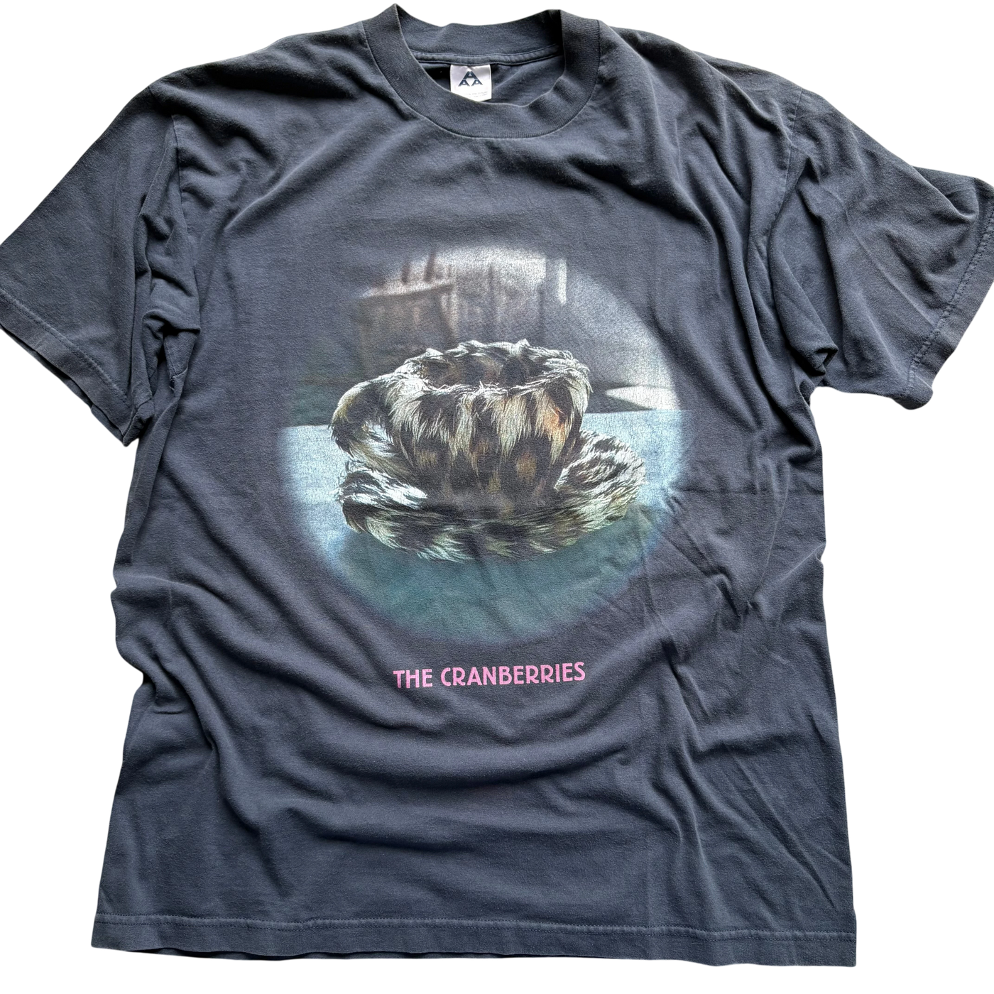 90s The Cranberries "Animal Insinct"