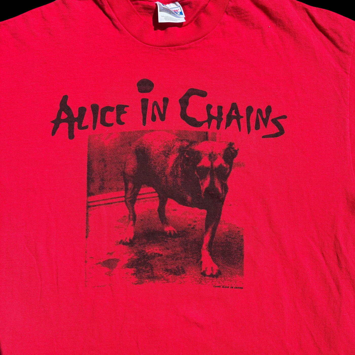 1995 Alice In Chains Tripod