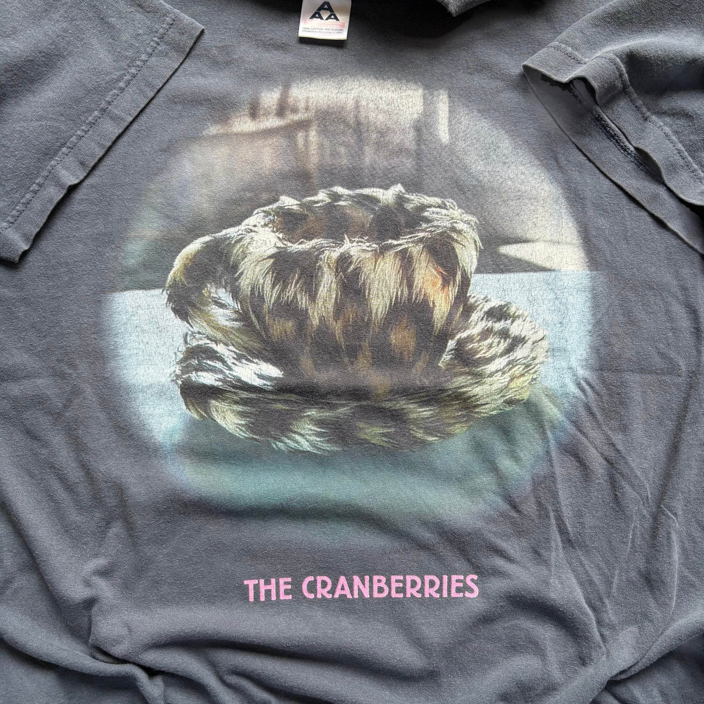 90s The Cranberries "Animal Insinct"