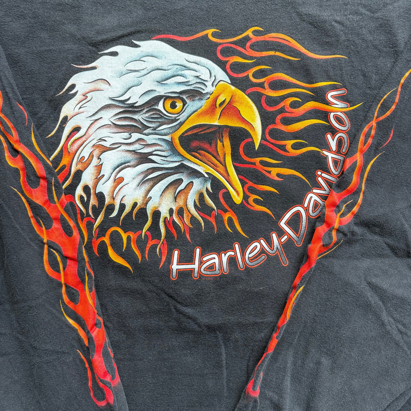 1999 Harley Davidson Flame Eagle